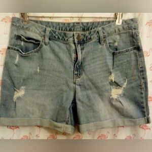 Ana Jean Shorts Size 14
